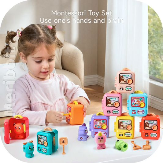 Montessori Educational Toy Set